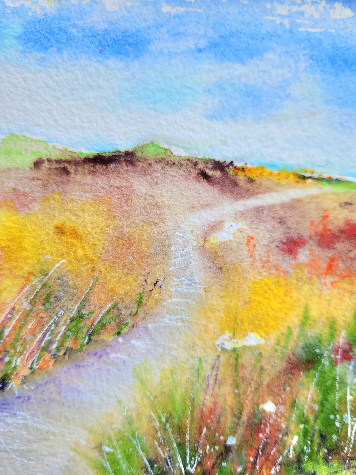 Aquarell ´Im Hohen Venn´, 18x13 cm „Zwischen Heideblüte und Himmelsrand: ein Weg durchs Hohe Venn.“