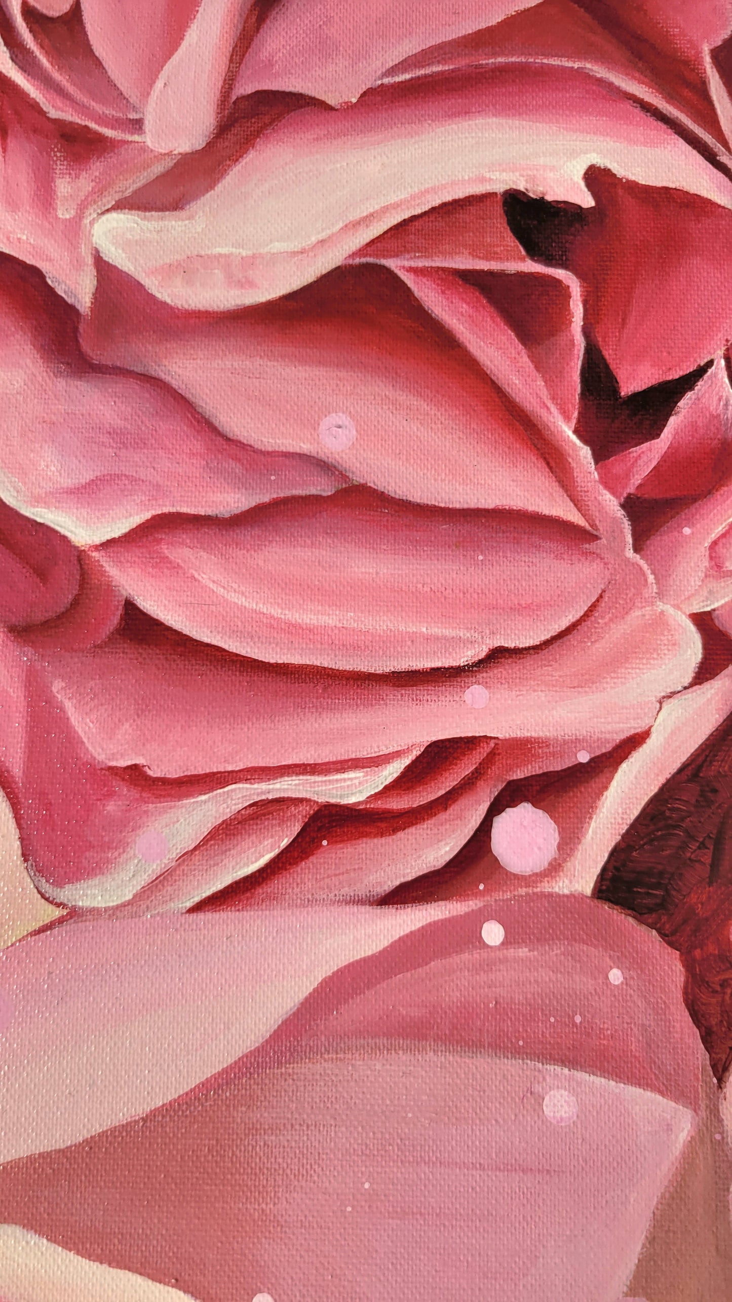 Climbing rose abundance II,  80x120 cm