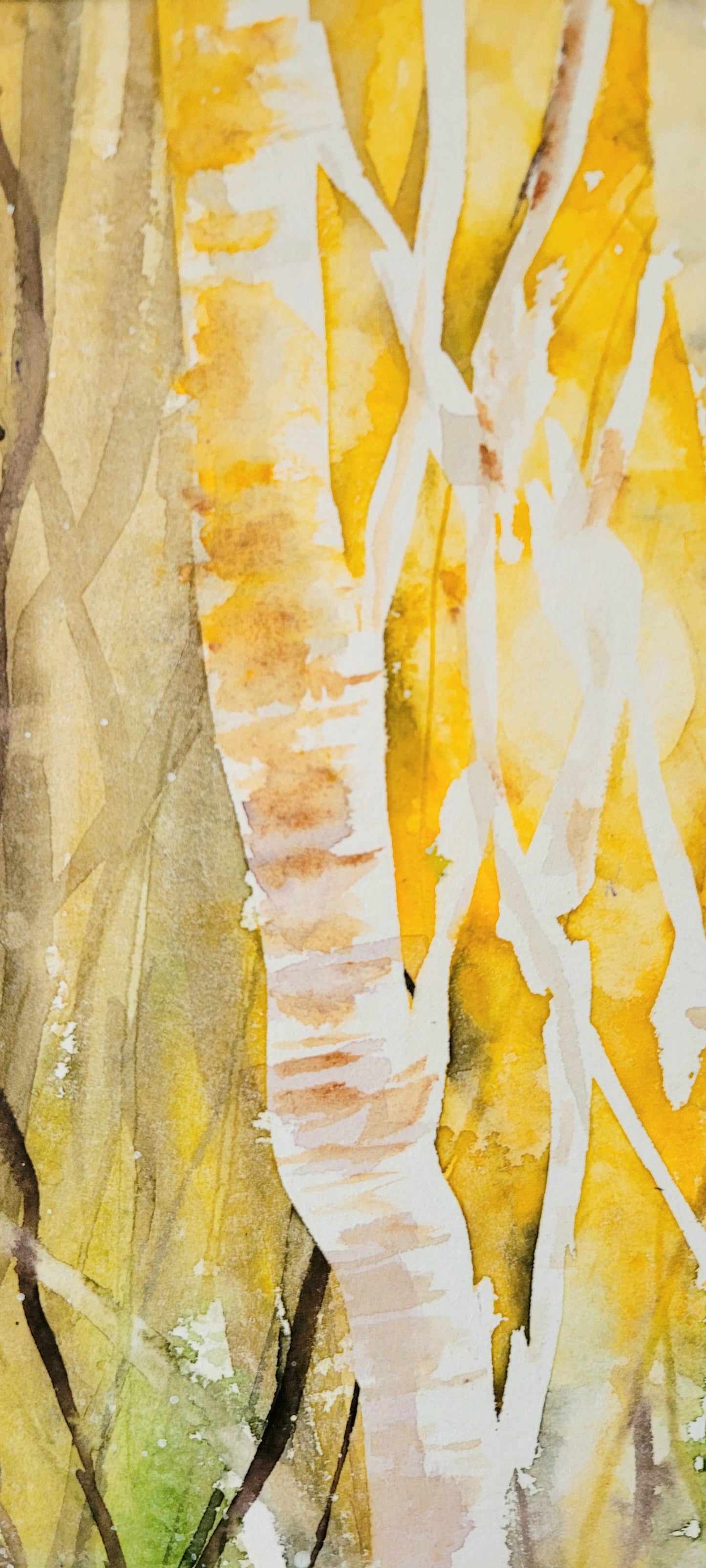 Watercolor ´Birchwoods´, 40x30cm