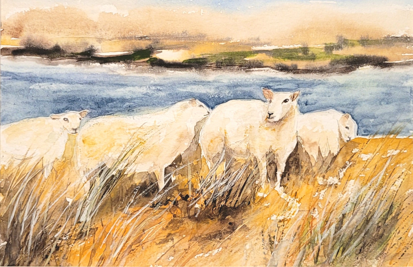 Watercolor ´Sylter Schafe´, 20x30cm