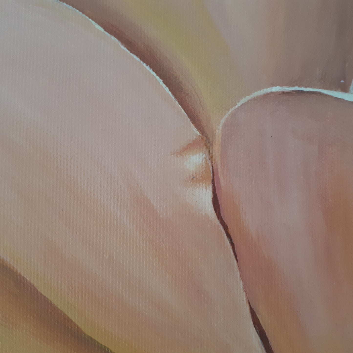 Rosa café con leche, 50x70cm