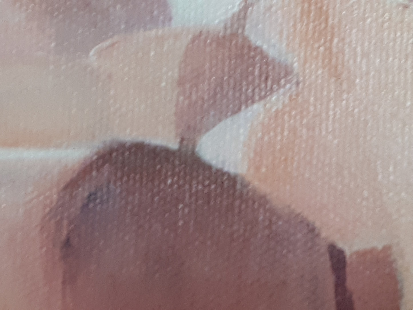 Rosa café con leche, 50x70cm