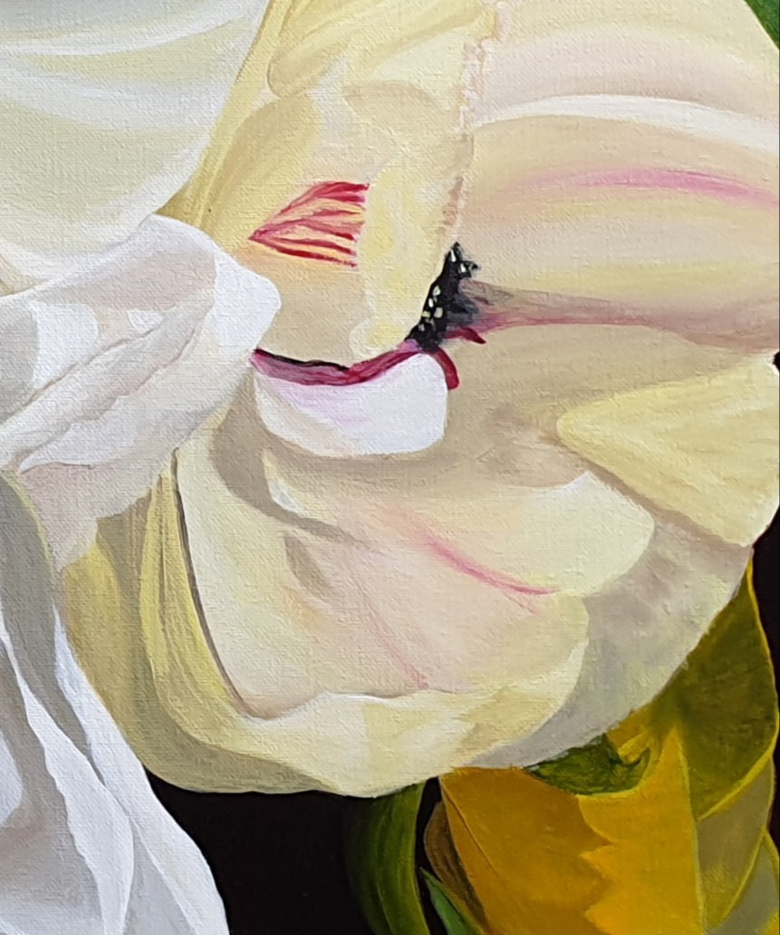 Ranúnculos y rosas, 60x80 cm