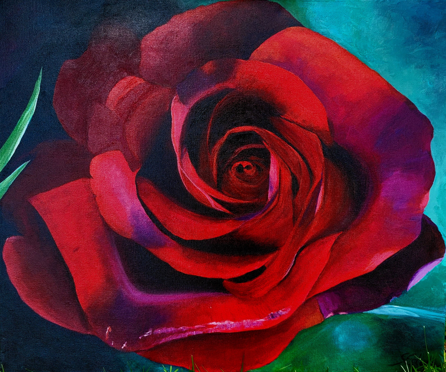Red red rose, 50x60 cm
