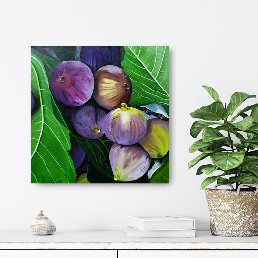 Barossa Figs, 50x50 cm
